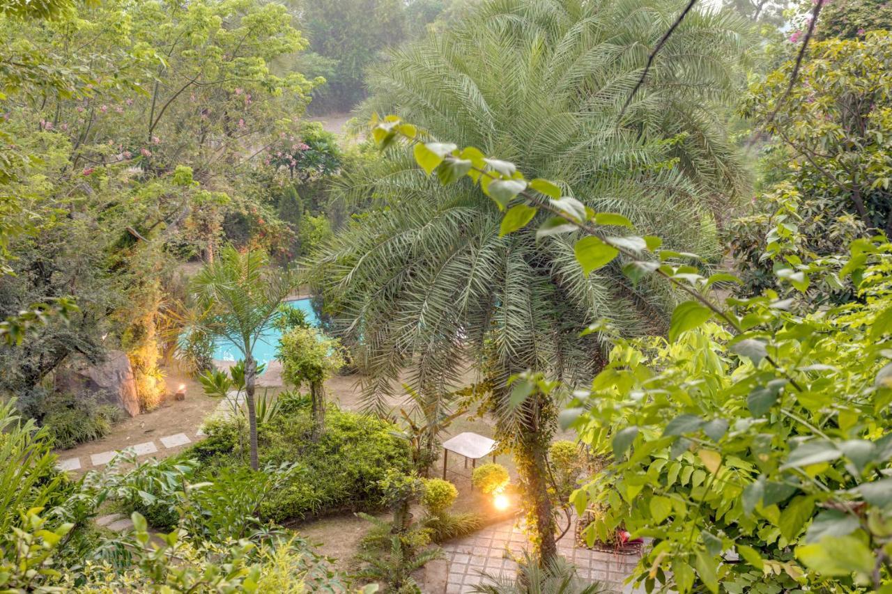 Hostie Chinar Haveli - Heritage Home With Pool, Gurgáon Exteriér fotografie