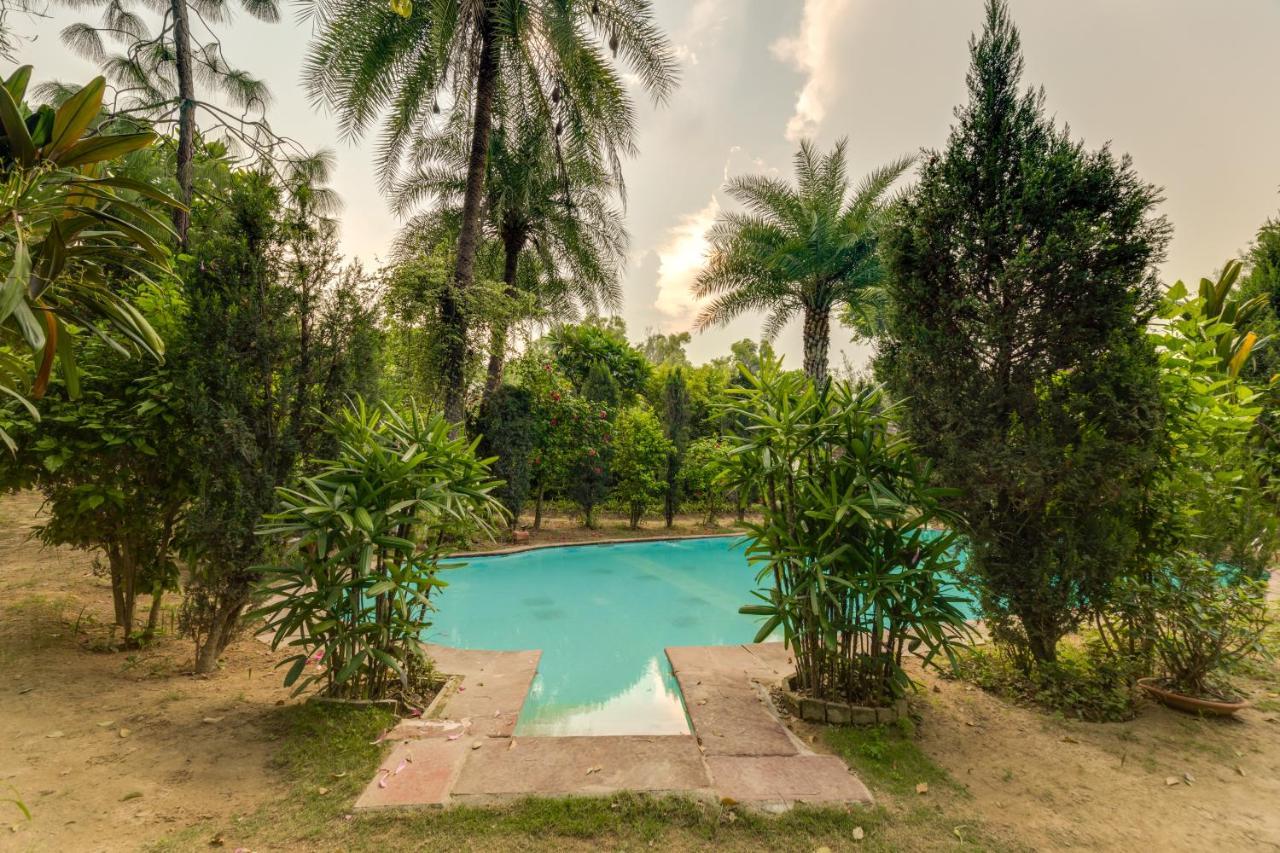 Hostie Chinar Haveli - Heritage Home With Pool, Gurgáon Exteriér fotografie